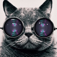 Борис Бритва