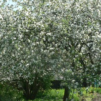 Ольга Уварова | Москва