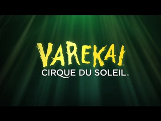Varekai by Cirque du Soleil