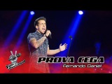 Fernando Daniel - When We Were Young | Provas Cegas | The Voice Portugal