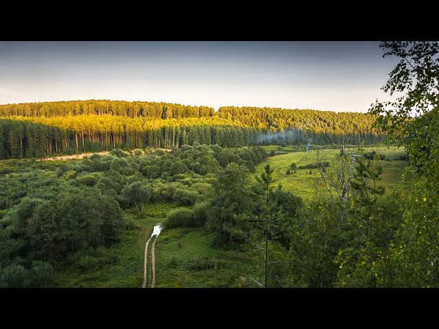 сплав рыбалка р. Немда