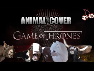 Game Of Thrones OST (Animal Cover)
