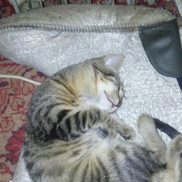 Евгений Балашов | Ярославль