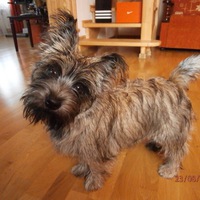 Анастасия Щериканова