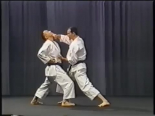 Karate_ Tetsuhiko Asai - Kihon and Kata