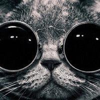 Анна Меньшова | 