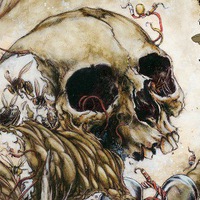 Сергей Стонердумов