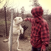 Аслан Китоков