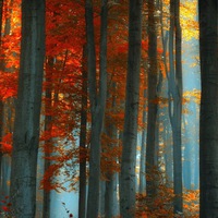 Маргарита Алексеева | Северодвинск