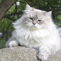 Мария Белоусова