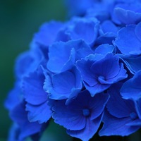 Виталий Панченко