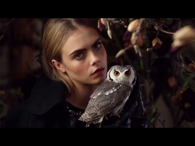 Mulberry Tim Walker