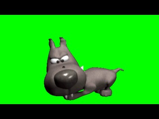 ФУТАЖ СОБАКА и МУХА НА ЗЕЛЁНОМ ФОНЕ ЭКРАНА - FREE GREEN SCREEN BACKGROUNDS VIDEO FROM yda4aTV