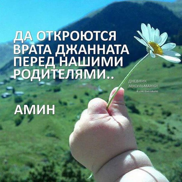 Картинки с надписями из дневника мусульманки, кон картинки прикольные