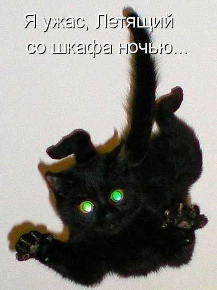 Вячеслав Потапов, Россия, Елец