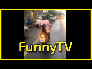 Видео приколы про кошек ТОП 2016 - Кот На Мотоцикле