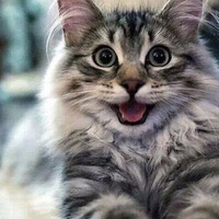 Жека Василек