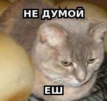 aJ3_utoDGSE.jpg