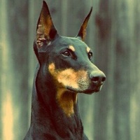 Дмитрий Сабуров