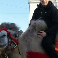 Илкин Хасмамедов