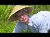 Welcome to the rice fields