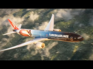 Turkish Airlines перекрасила свой самолет к выходу