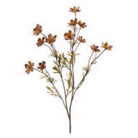 Социальная Неадаптированность