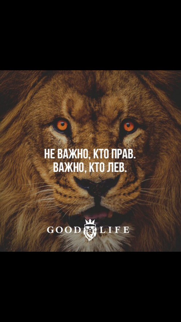 Неважно кто прав важно кто лев картинка