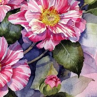 Елена Новоселова | Великие Луки