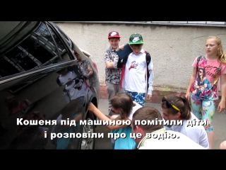 Водію міськвиконкому довелося витягувати кошеня з колес автомобіля міського голови