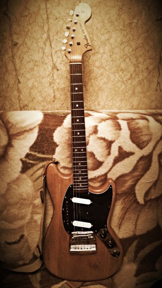 Пробить Серийники Гитар