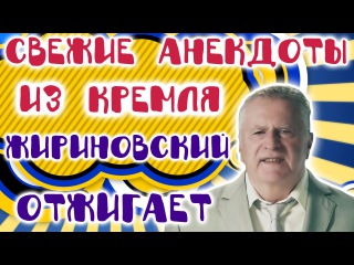 Свежие анекдоты из Кремля. Жириновский отжигает! || Приколи.рф