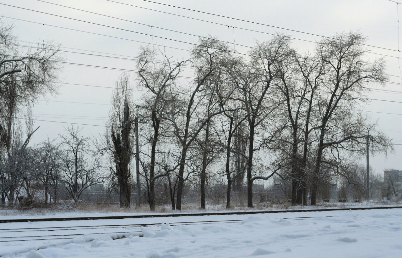 Зима, снег, фото. Утренний Понтифик