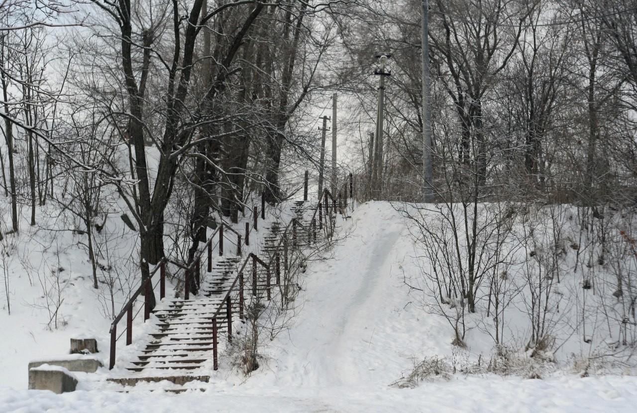 Зима, снег, фото. Утренний Понтифик