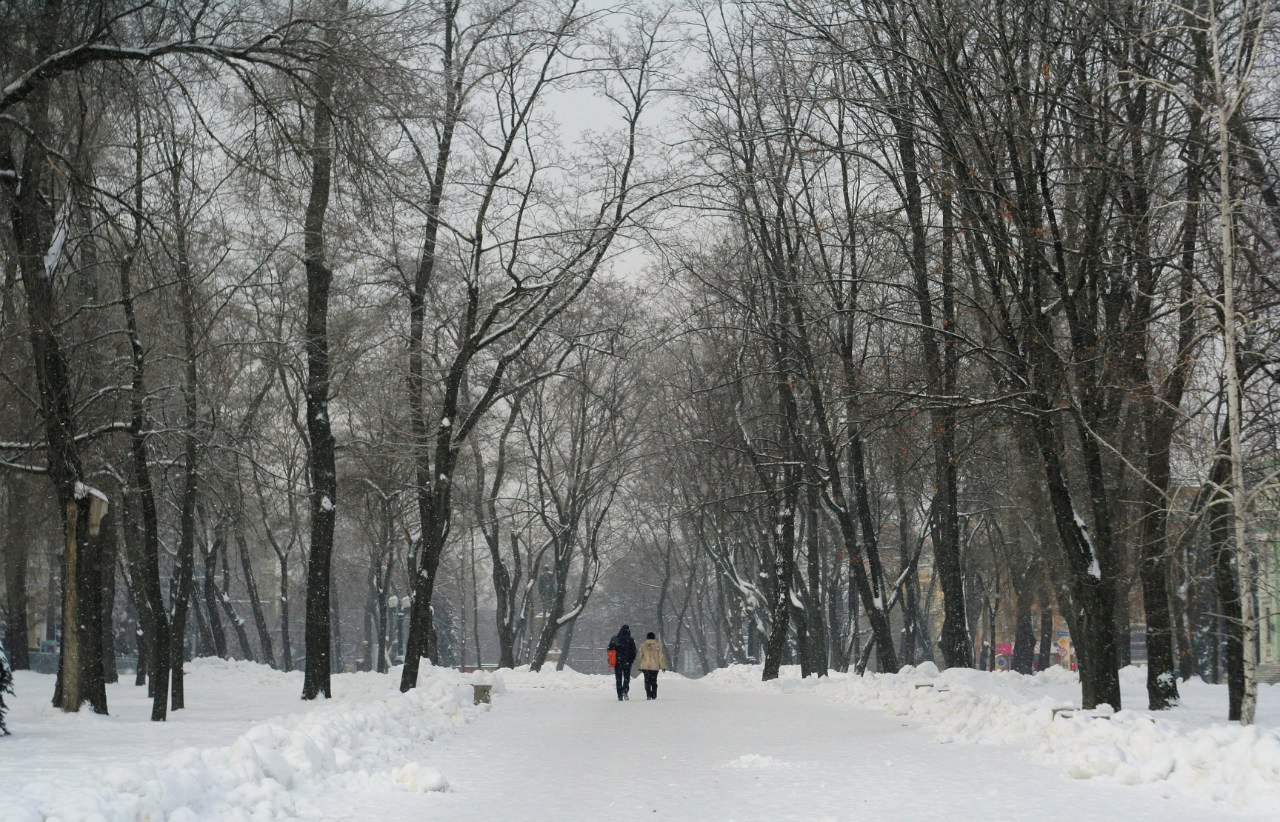 Зима, снег, фото. Утренний Понтифик