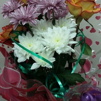 Тома Ализарчик