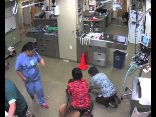 Sırtındaki Kadınıda Alıp Veterinerden Firar Eden Köpek! ( Dog at Veterinary's Office! )