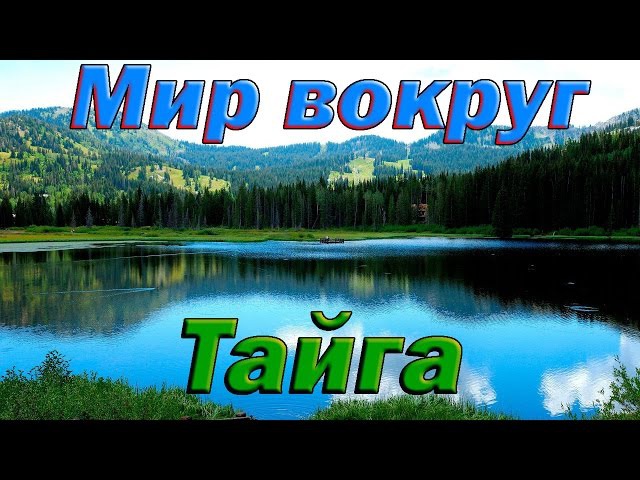 Фильм Фильм