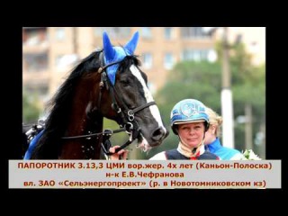 РЕЗВЕЙШИЕ ОРЛОВСКИЕ РЫСАКИ 2015 ГОДА