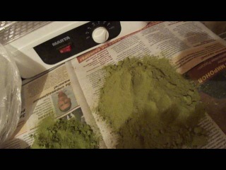 Молотый укроп !Порошок из укропа! Ground dill !Powder dill!