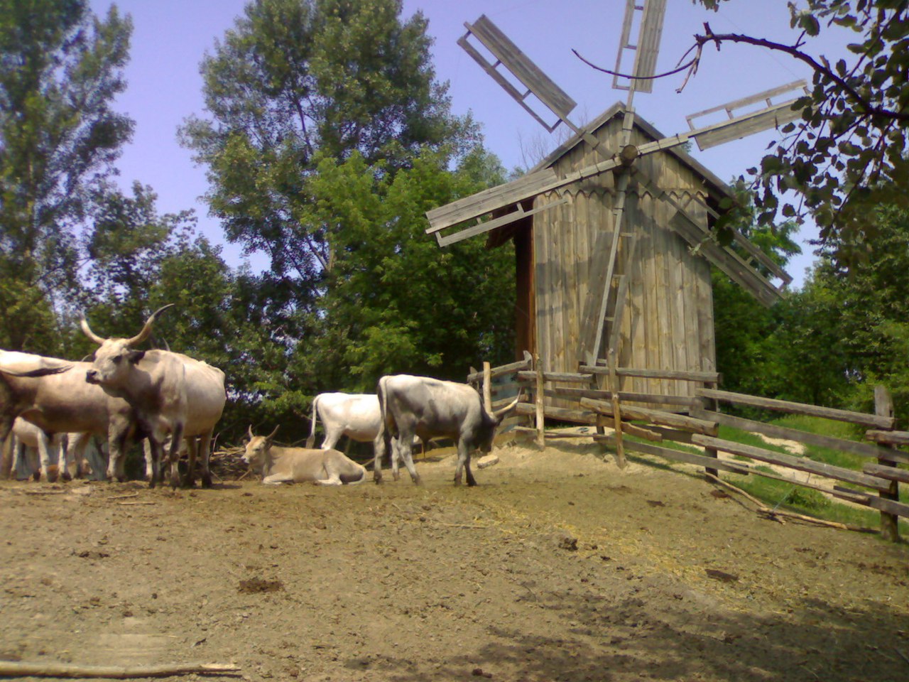 Киев - Мариуполь