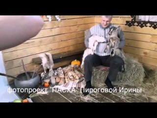 с фотопроекта Пироговой Ирины. Фотопроект