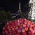 Фото пользователя Эльвира