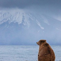 Илья Ковальчук | Пермь