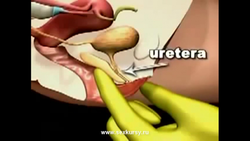 ТЕХНИКА СКВИРТА ОБУЧАЮЩЕЕ ВИДЕО СКАЧАТЬ БЕСПЛАТНО ТЕХНИКА СКВИРТА ОБУЧАЮЩЕЕ ВИДЕО СКАЧАТЬ БЕСПЛАТНО