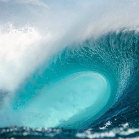 Маргарита Лебедькова