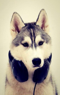 Богдан Скальський