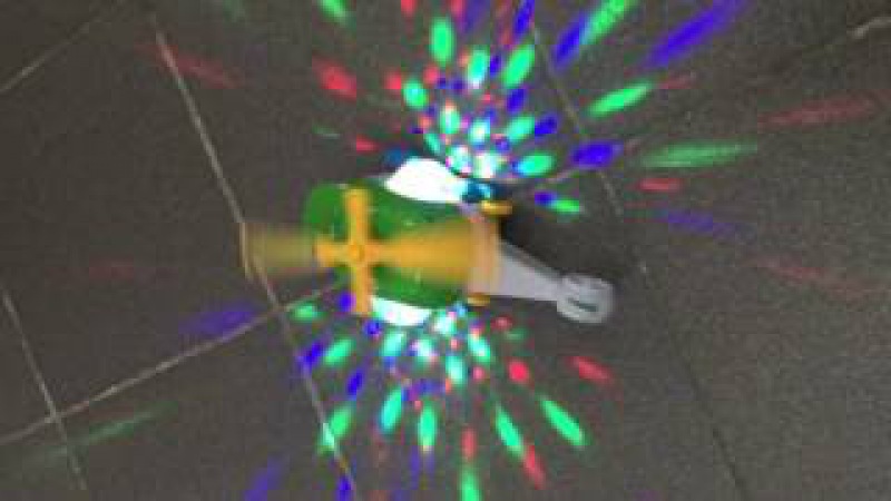 IMG 6225
