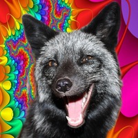 Яна Небывалова  Mumlik