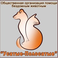 usatiy_polosatiy